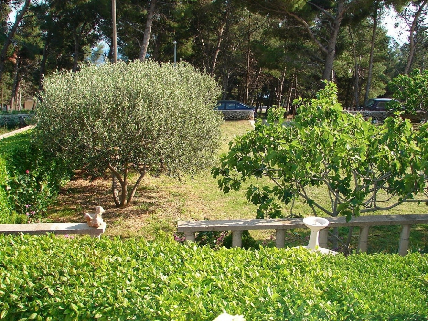 Apartment Marija - 2 bedrooms: A3 Bol, Island Brac