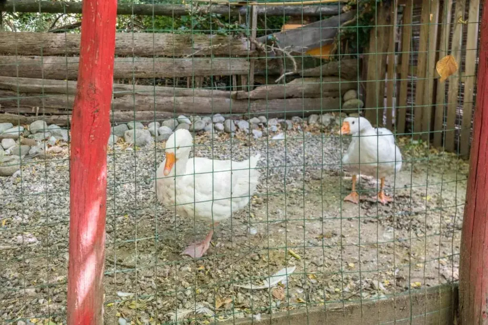 Colleincanto Appartamento Lina