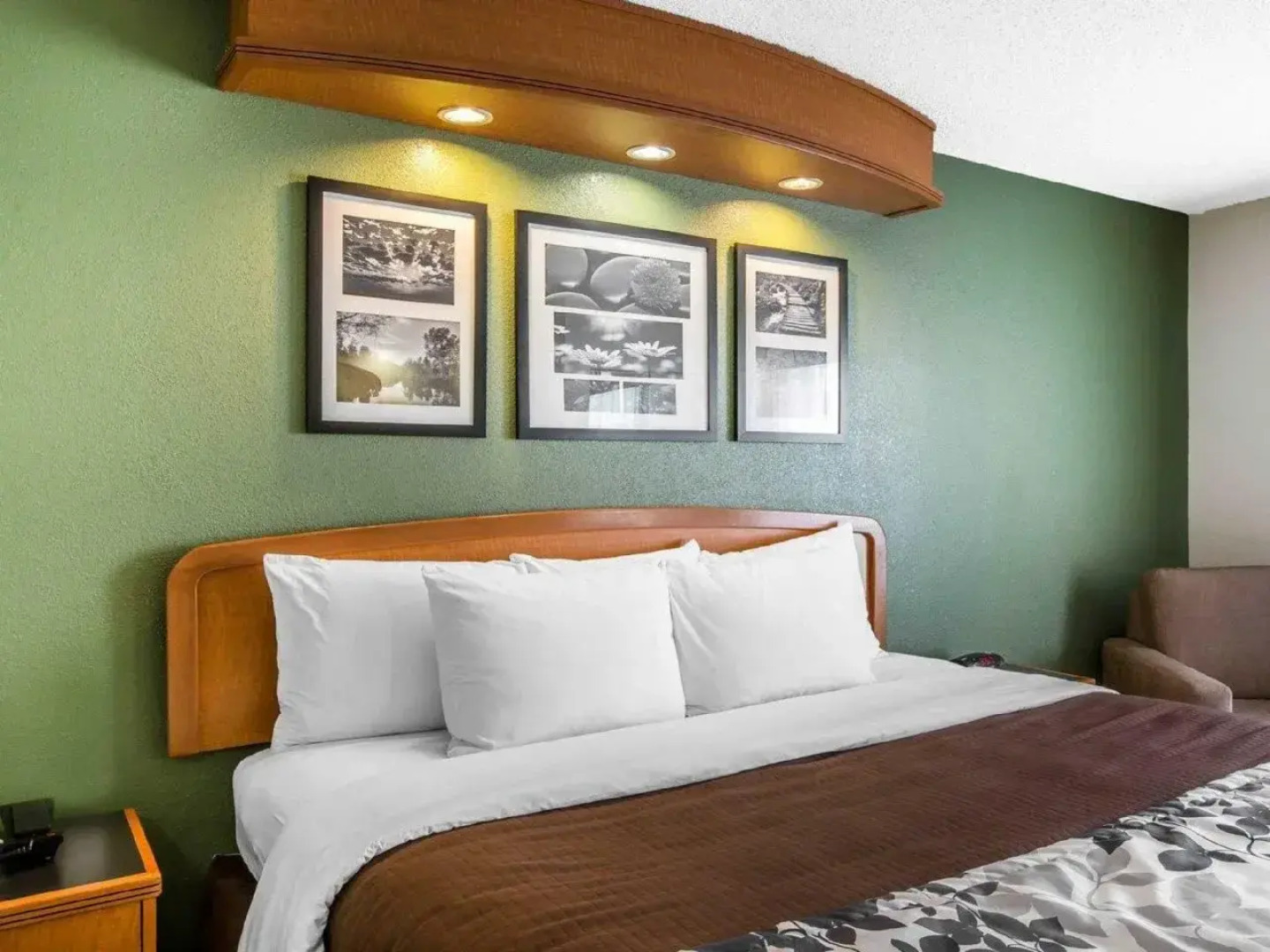 Sleep Inn And Suites Albemarle