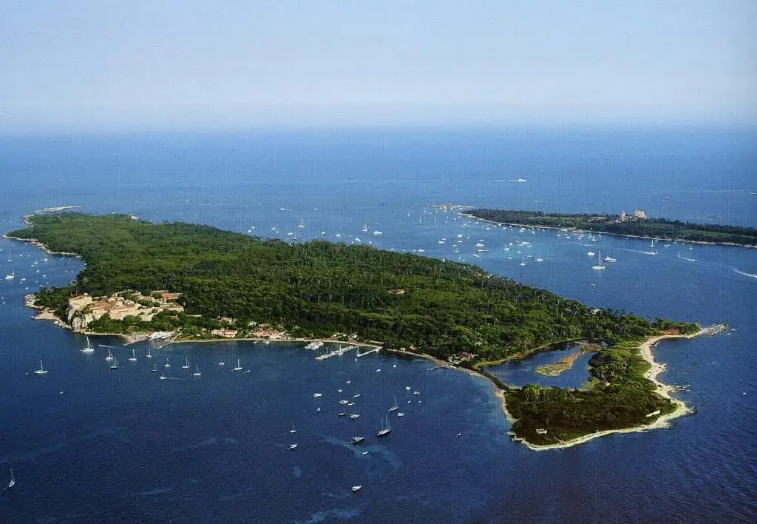 Résidence La Palme d'Azur Cannes Verrerie