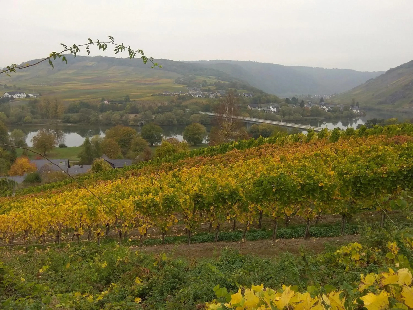 Gästehaus Lavendel an der Mosel