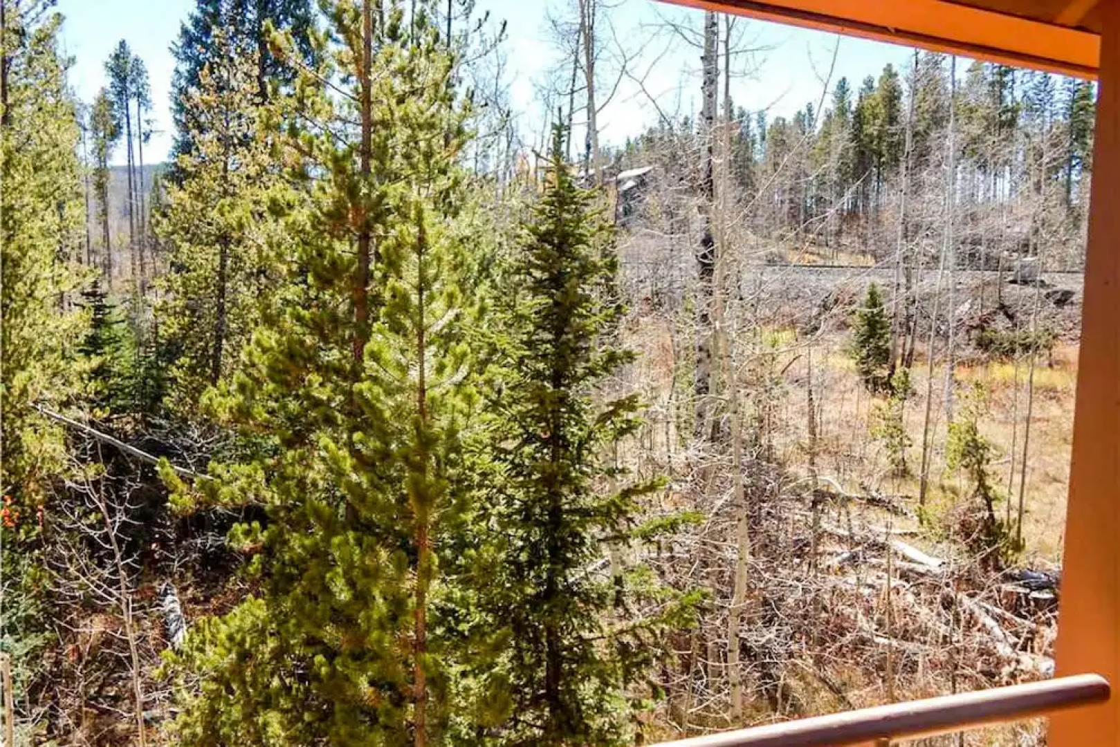 Braidwood Condominium