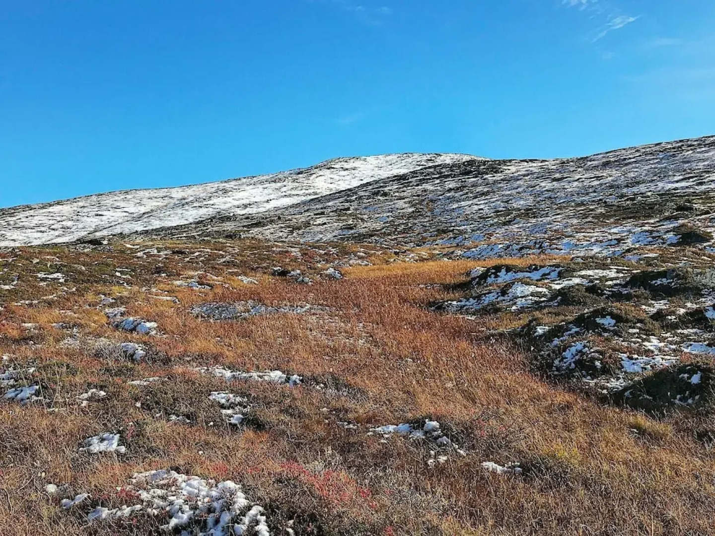 Holiday Home in Alta