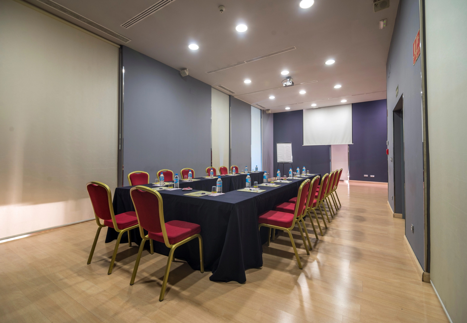 Отель Petit Palace Triball