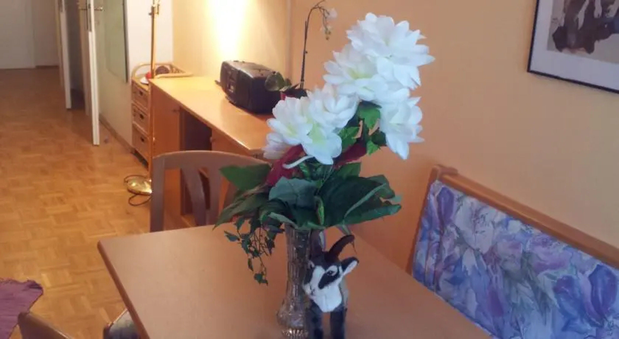 Sun Valley Apartment