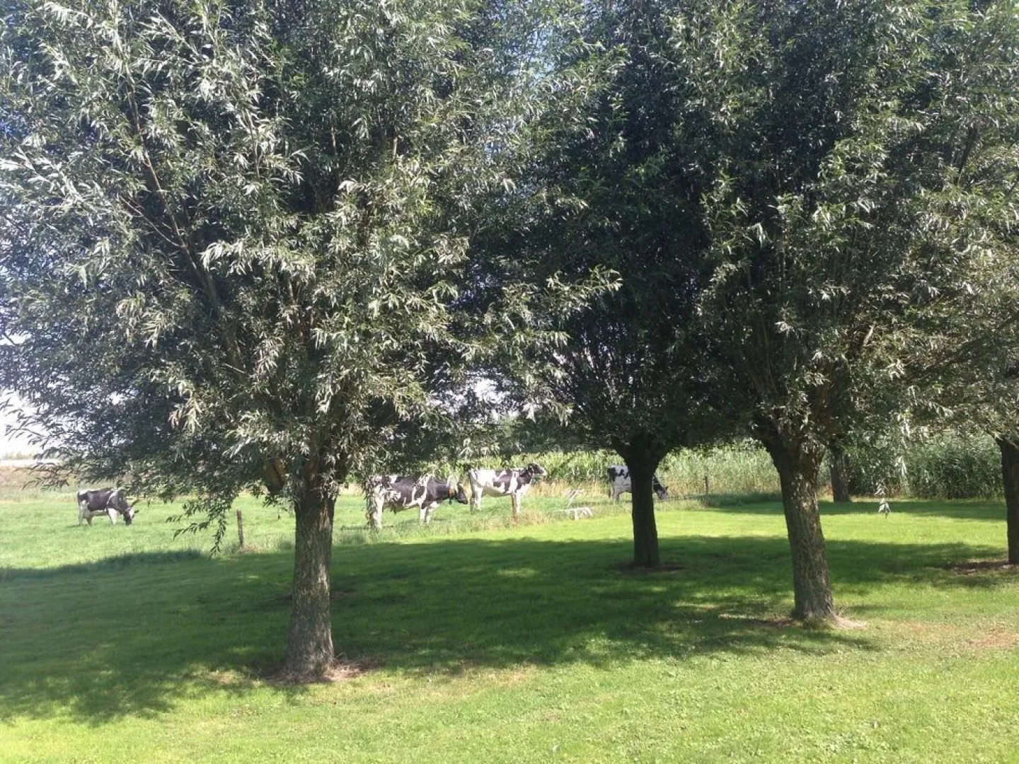 Express By Holiday Inn Moerdij