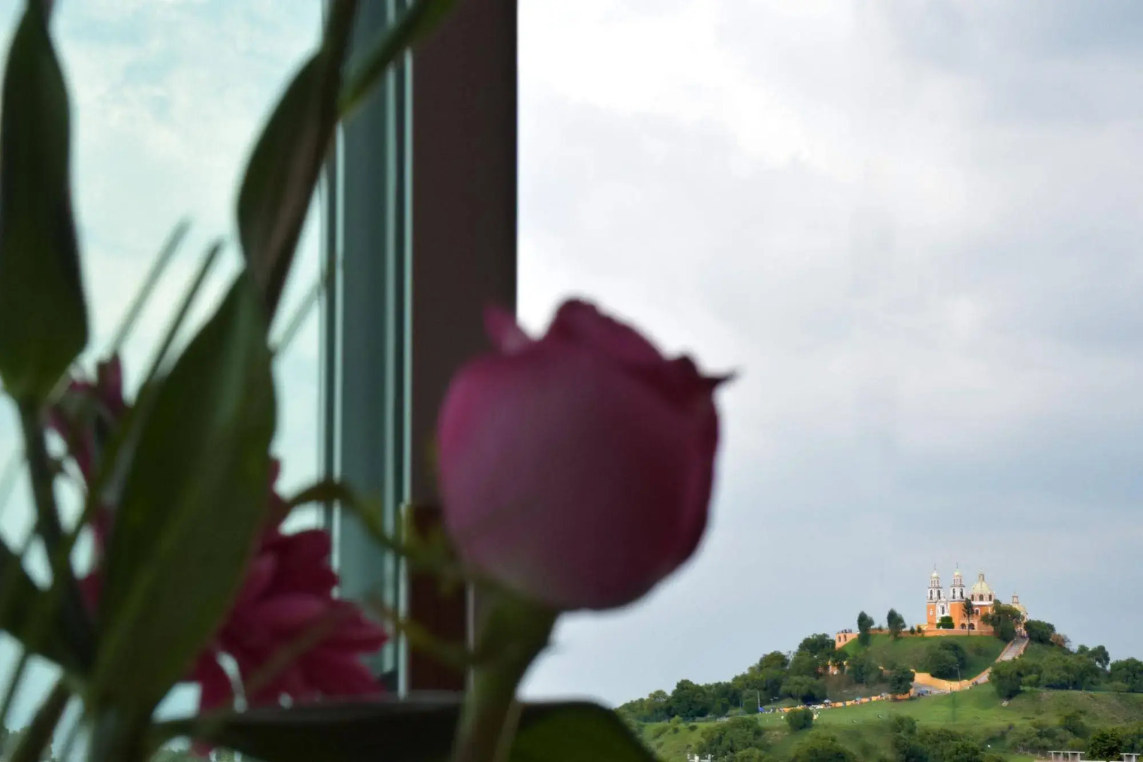 Hotel Terraza San Pedrito