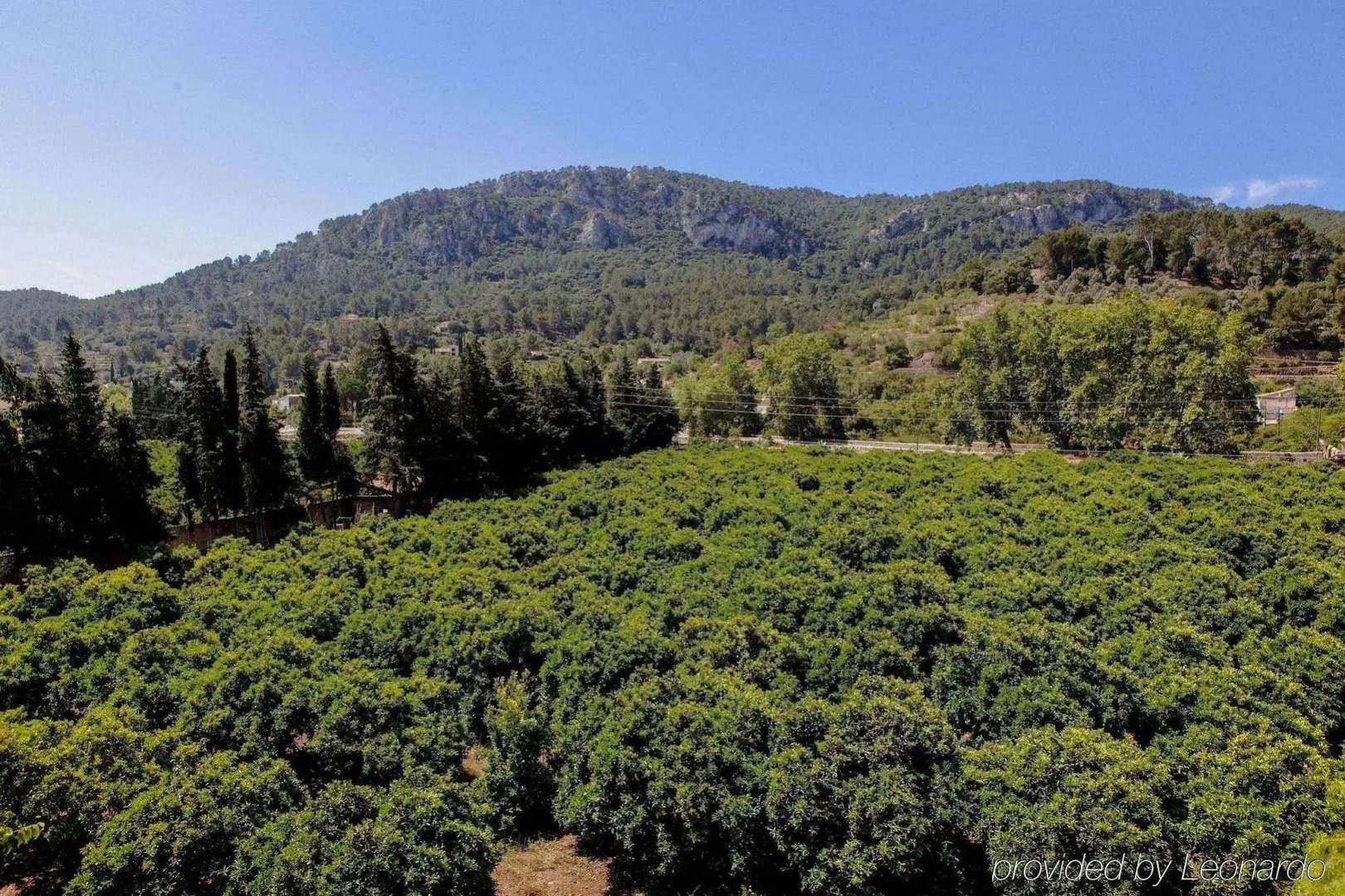 Agroturismo Son Galcerán