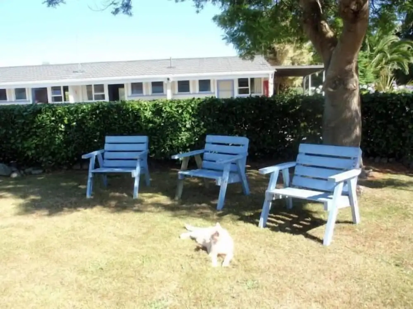 Mountain View Motel, Levin