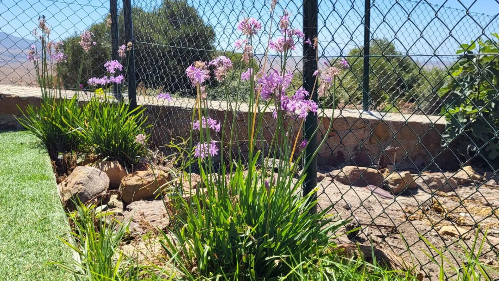 Rancho Blanco Tarifa