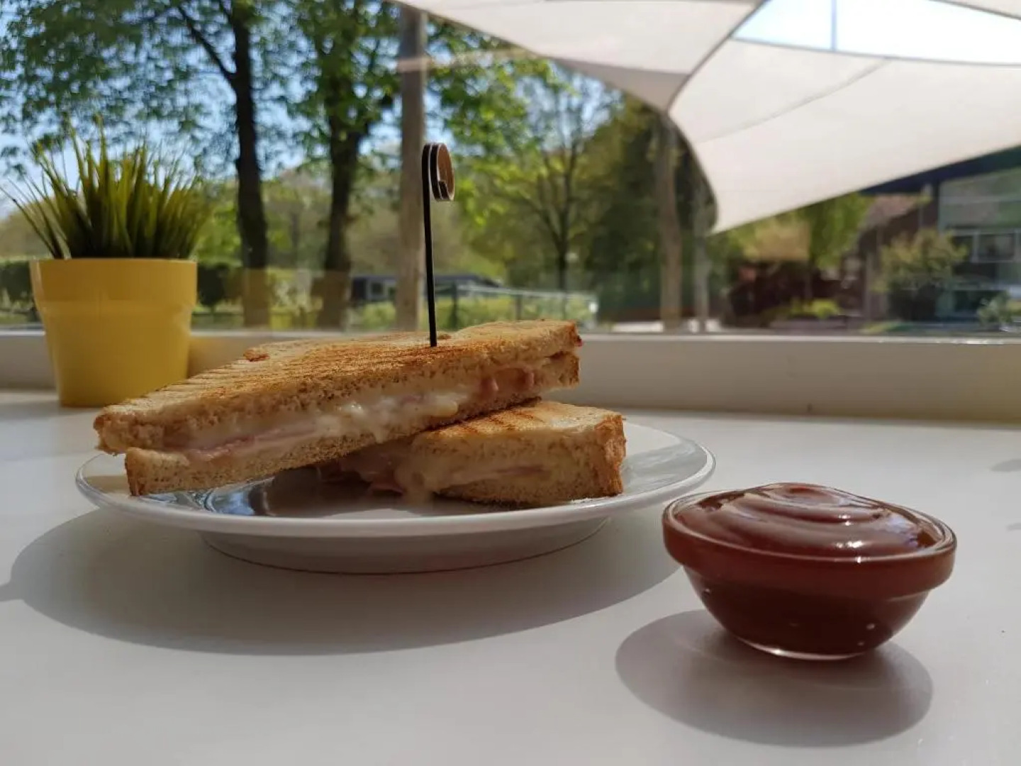 De Lente van Drenthe