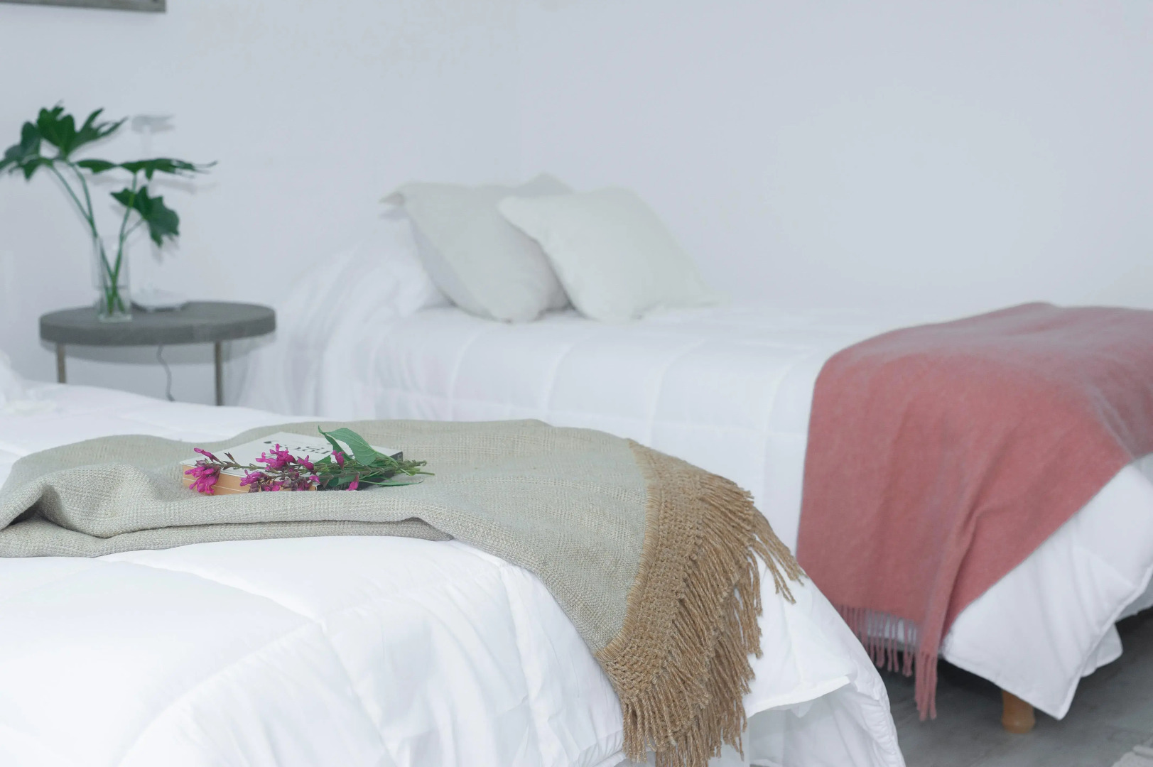 Pastizales de San Lorenzo