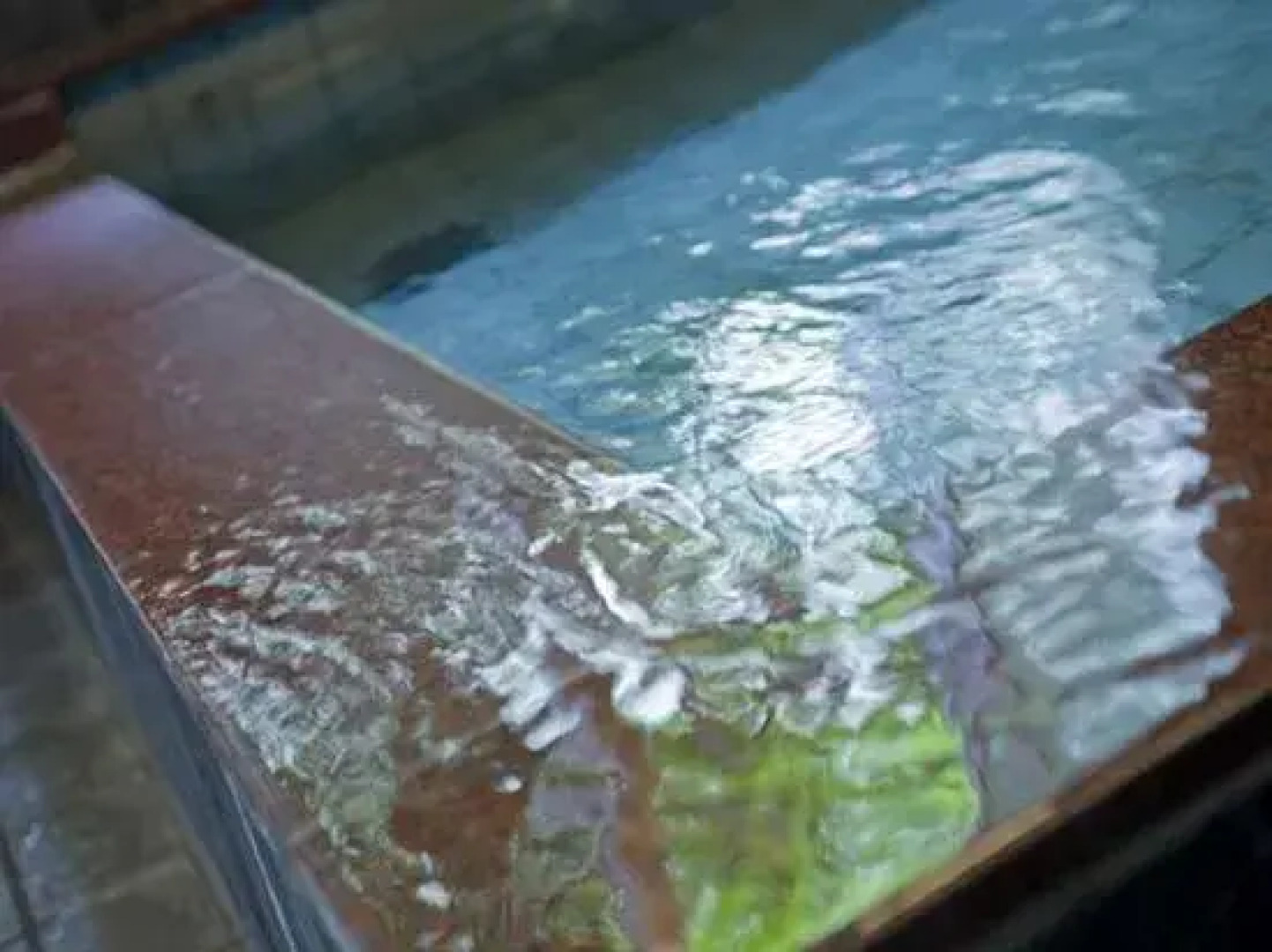 Business Hotel Art Plaza