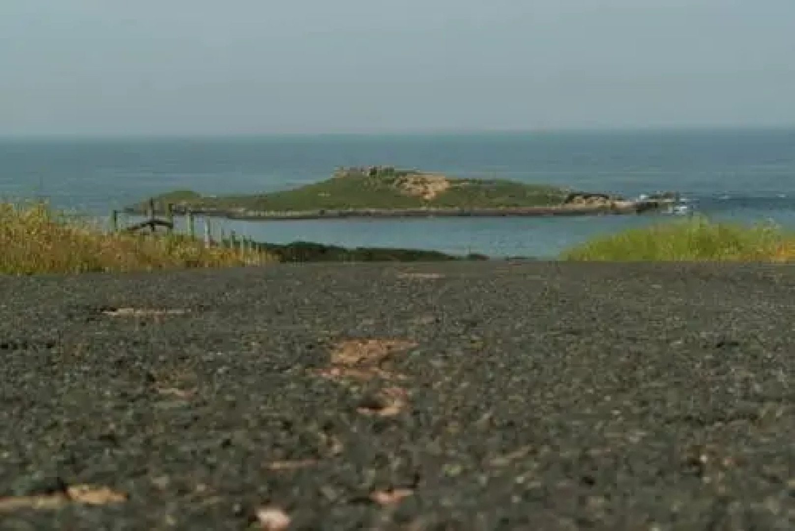 Ilha Do Pessegueiro Campsite & Bugalows