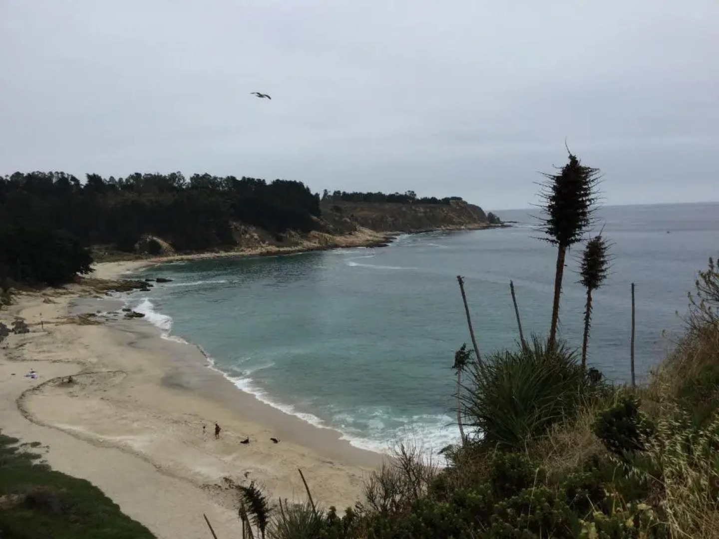 Departamento 43D Condominio Cau Cau