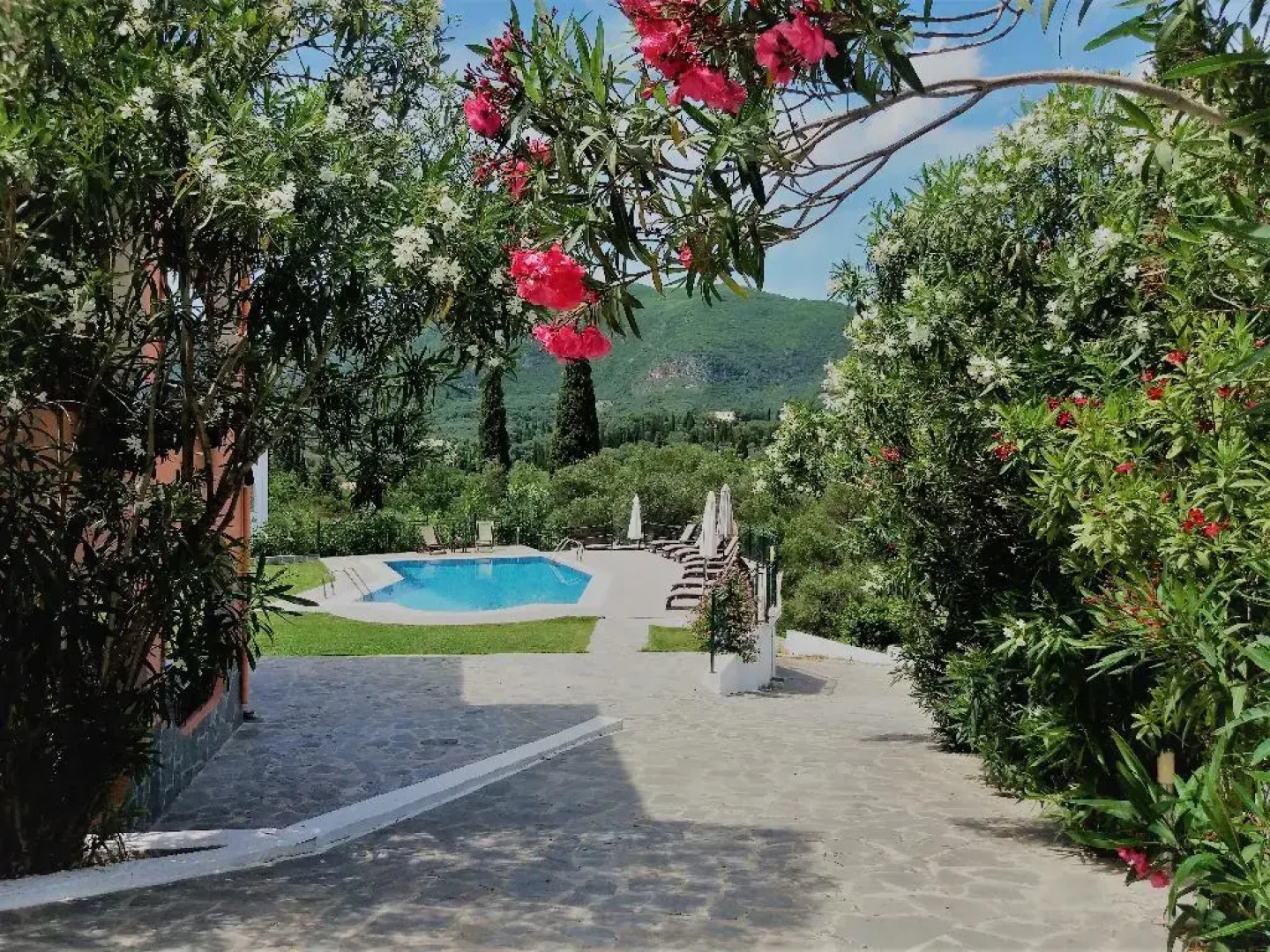 Ziogas Luxury Apartment's