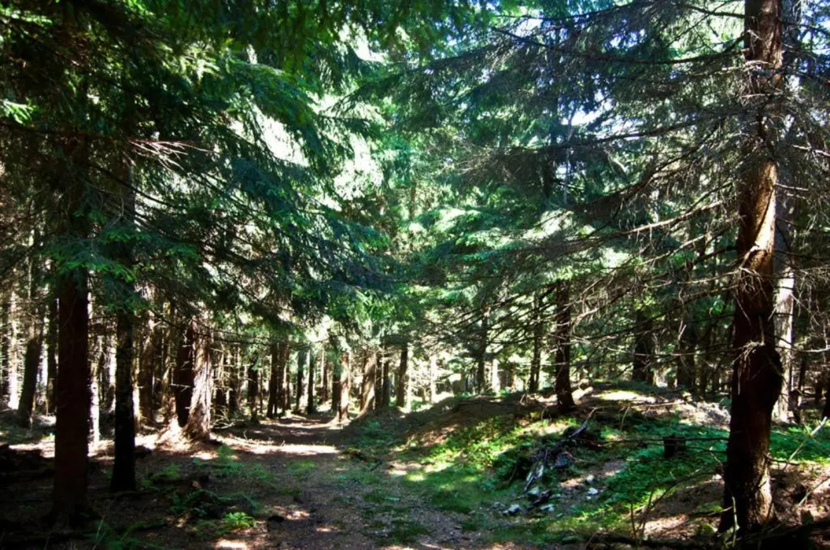 Hotel Górski Czarna Góra