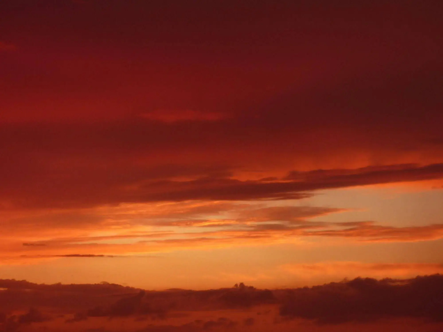 Amygdalies Apartments