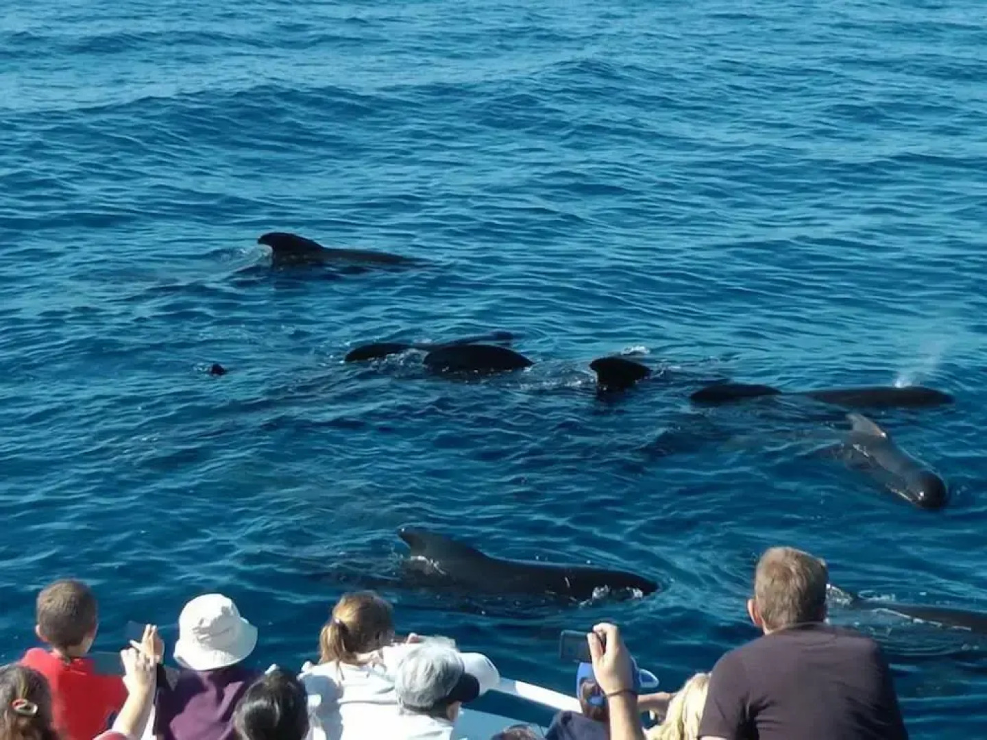 Hobart Waterfront Luxury Retreat