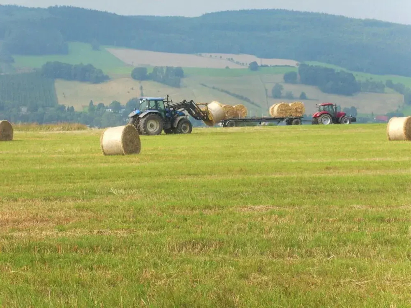 Holiday Home by the Forest