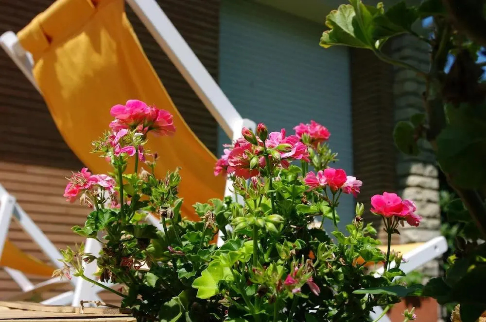 B&B - Tre conigli sul comò