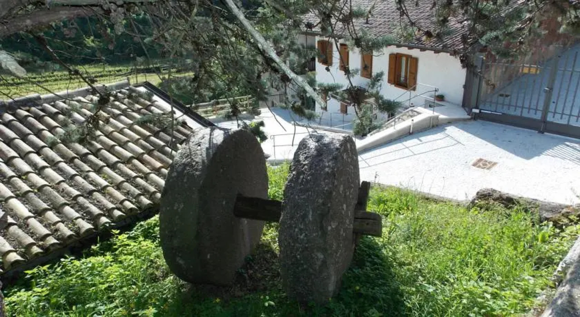 B&B Da Mariangela Vecchio Mulino