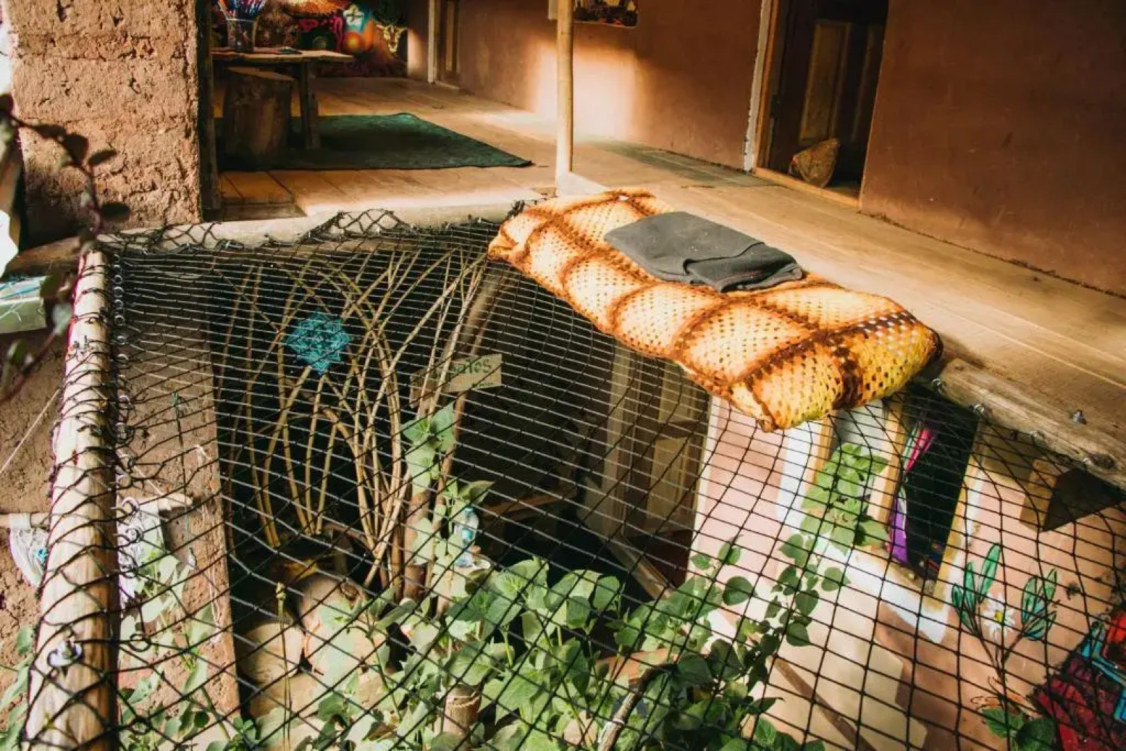 Wallpari Sonqo hospedaje medicina temazcal