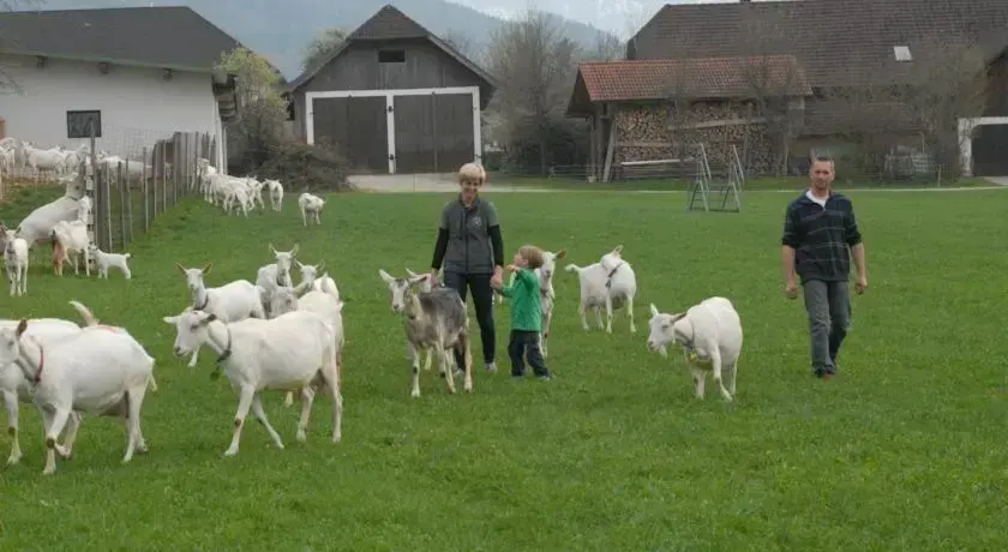 Ferienwohnungen Hebesberger