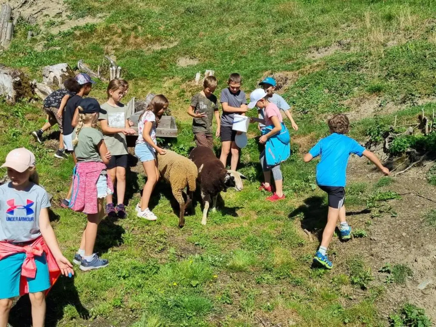 Sattlerhof Urlaubsbauernhof