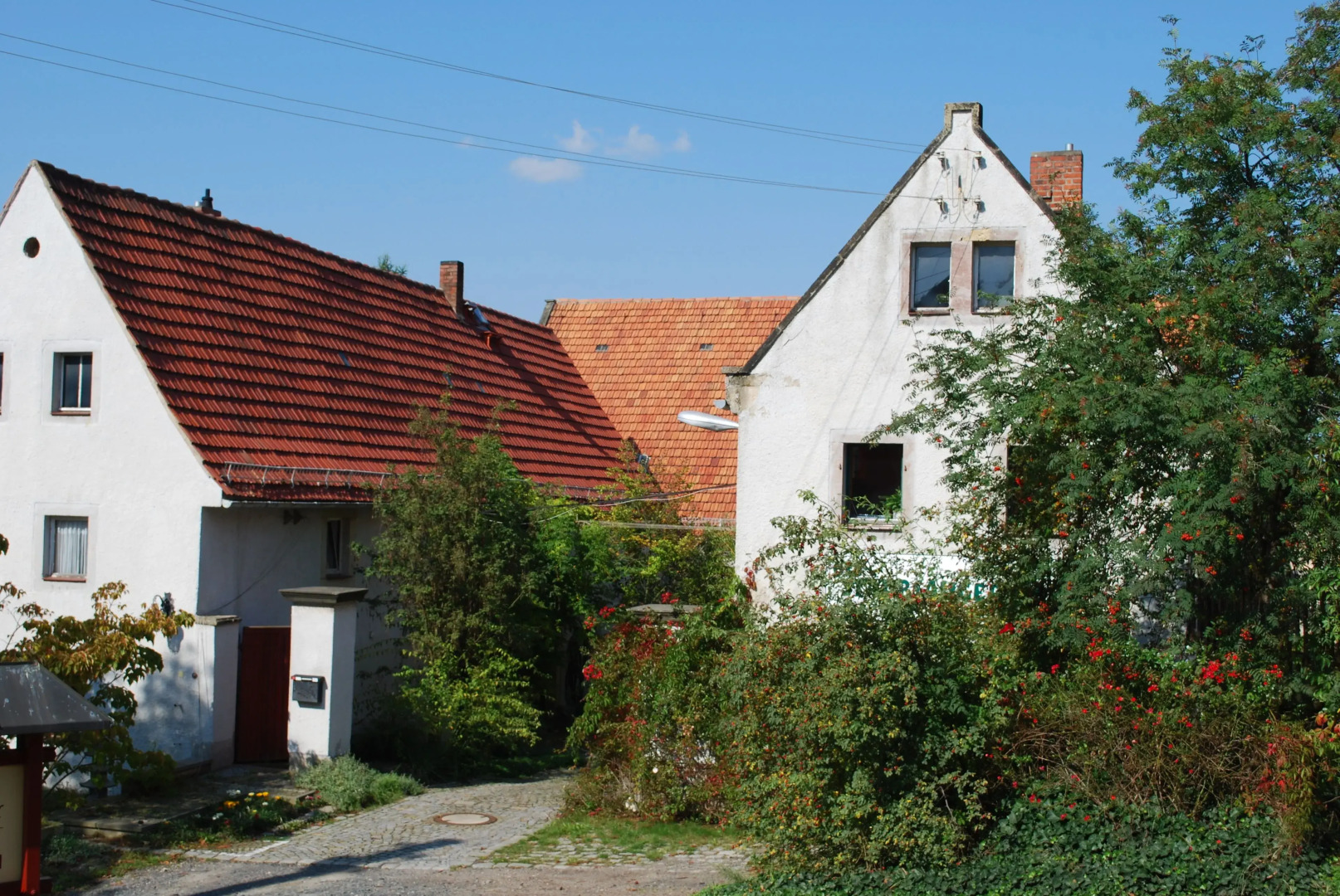 Grüne Idylle im Dresdener Süden