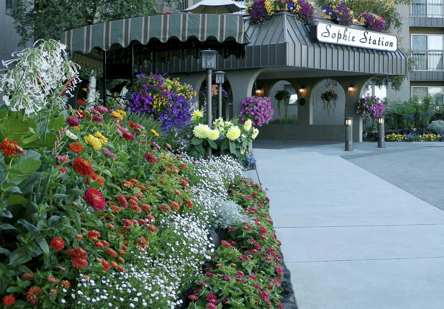 Sophie Station Suites