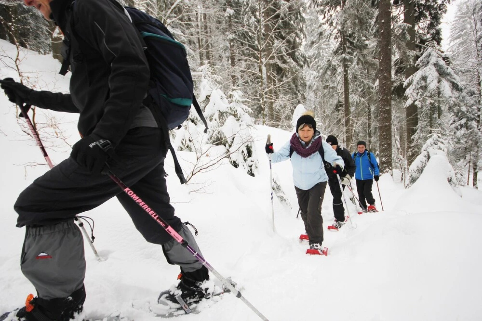 Almhotel Pinter ***Superior