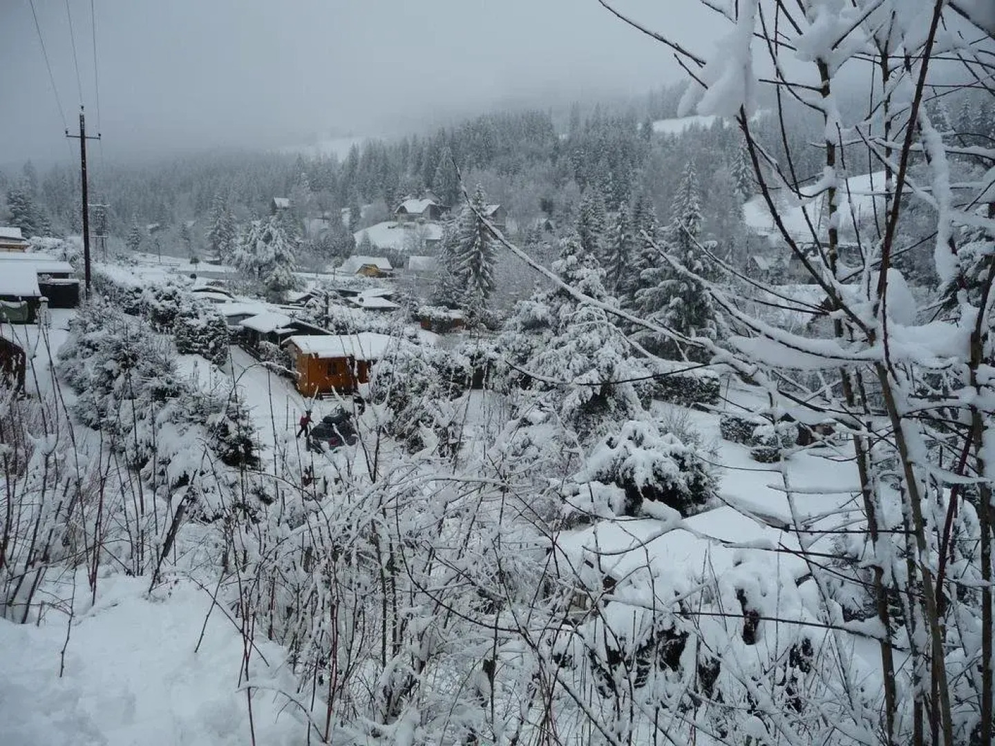 Gästepension Edeltraud
