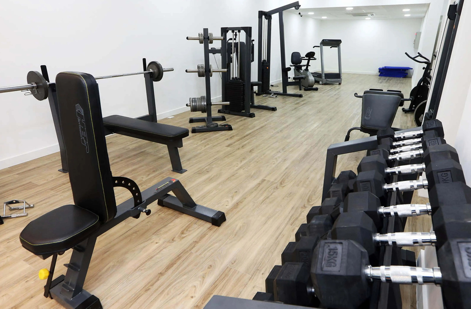 Cyan Wenelen Vaca Muerta