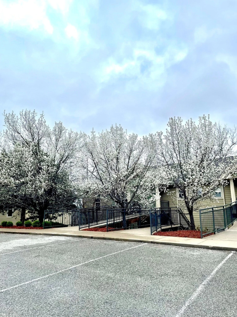 Stonebridge Village Resort