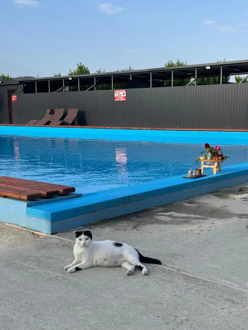 Персиковый Остров