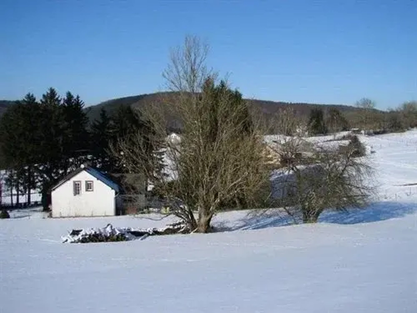 Eifelhaus24 - Ferienwohnungen