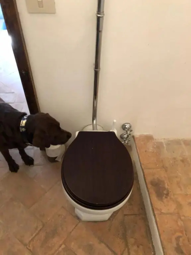 Castello Di Potentino