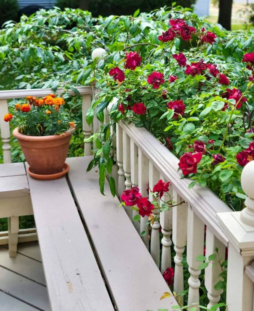 The Lamplighter Bed & Breakfast of Ludington