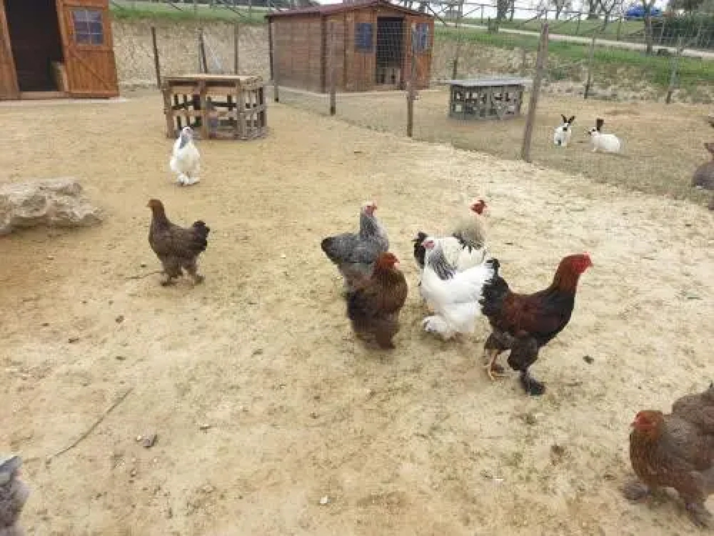 Agriturismo Colleoli