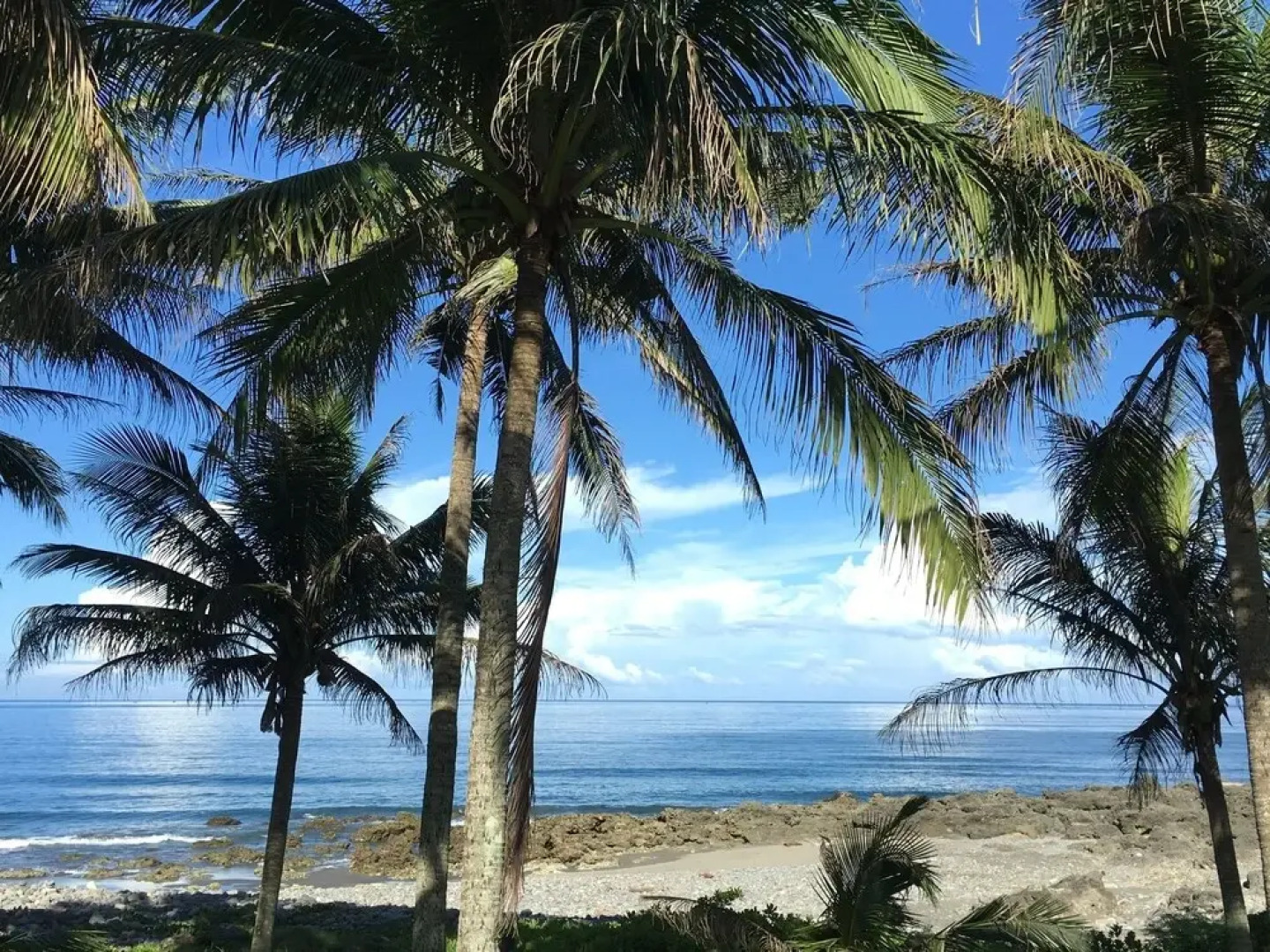 Coconut Beach Homestay