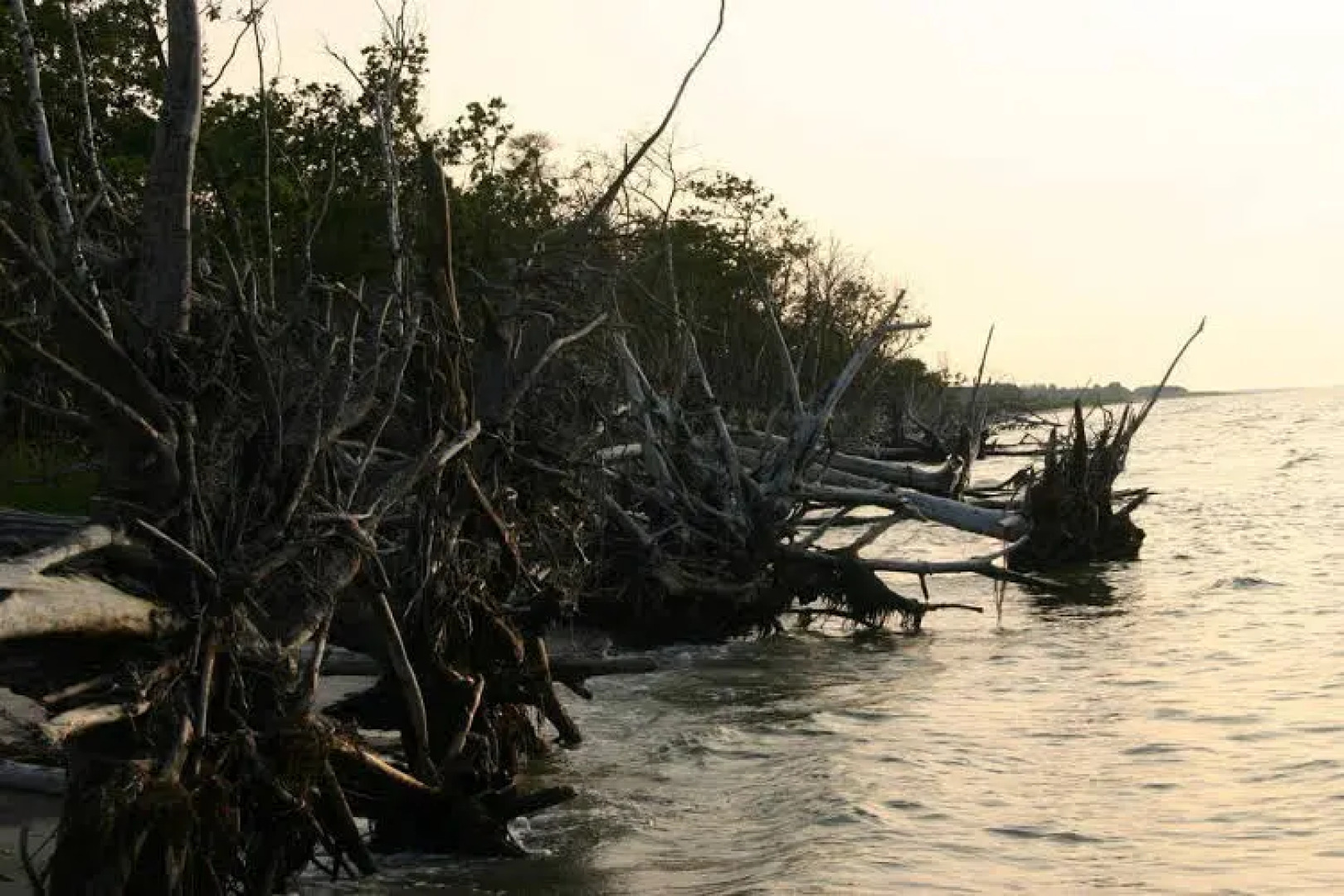 Schlösschen Sundische Wiese