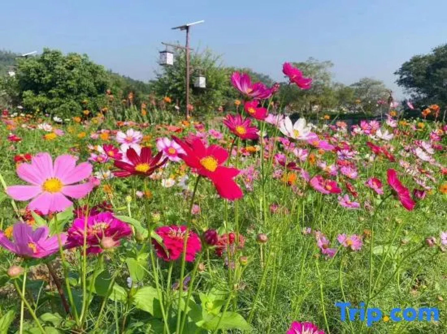 Yeyuan Hotspring Holiday Hotel