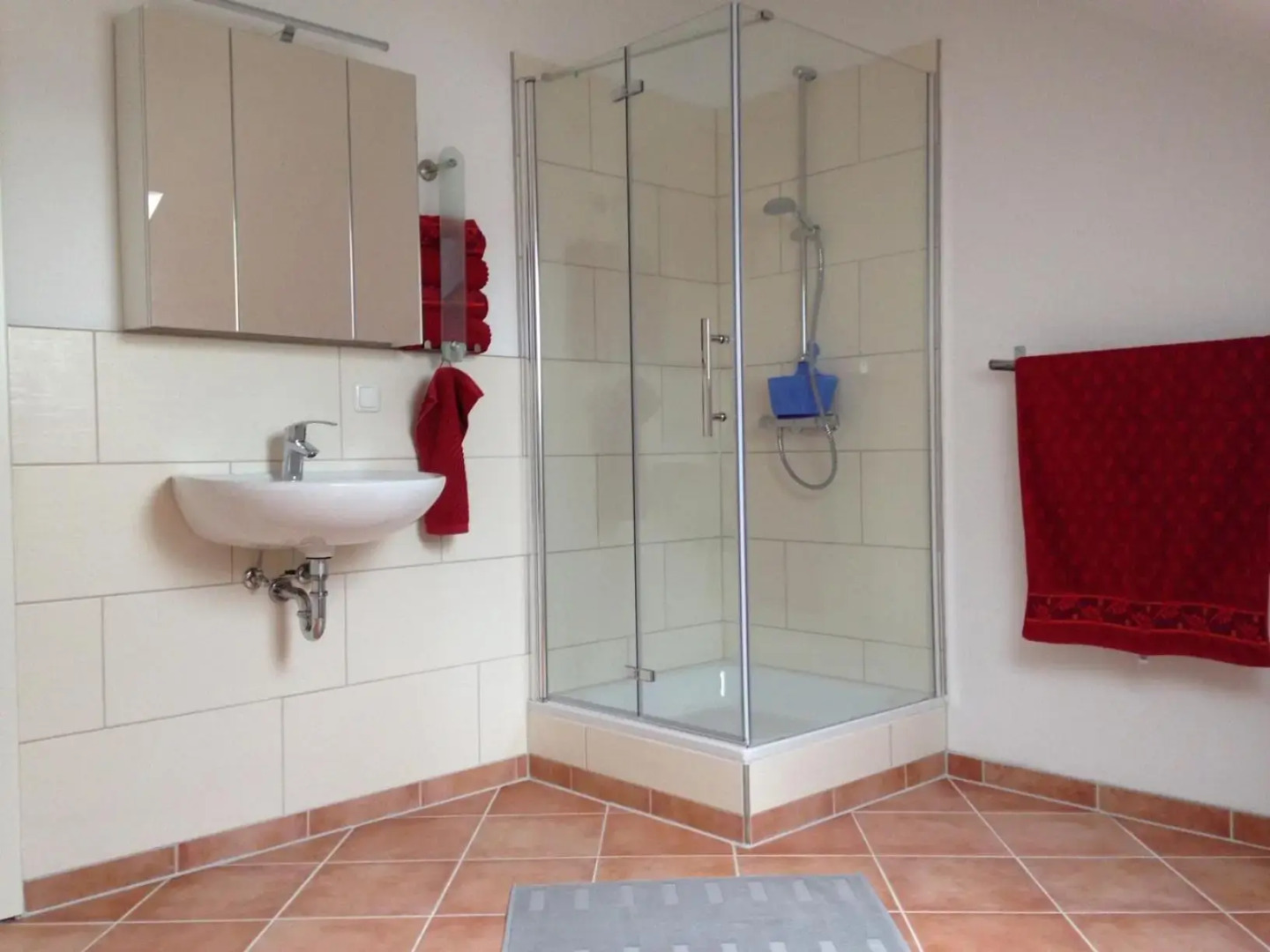 Gemütliche, großzügige Ferienwohnung