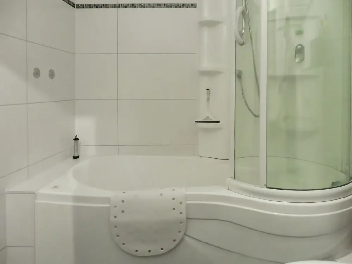 Austernfischer Warwerort