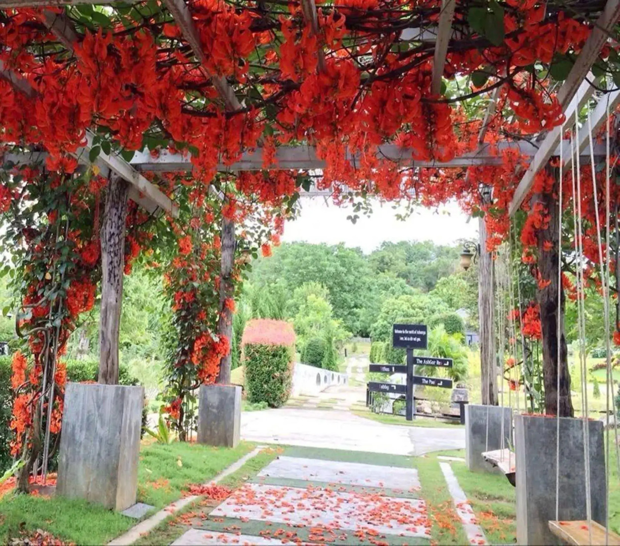 Ashcarya Boutique Resort