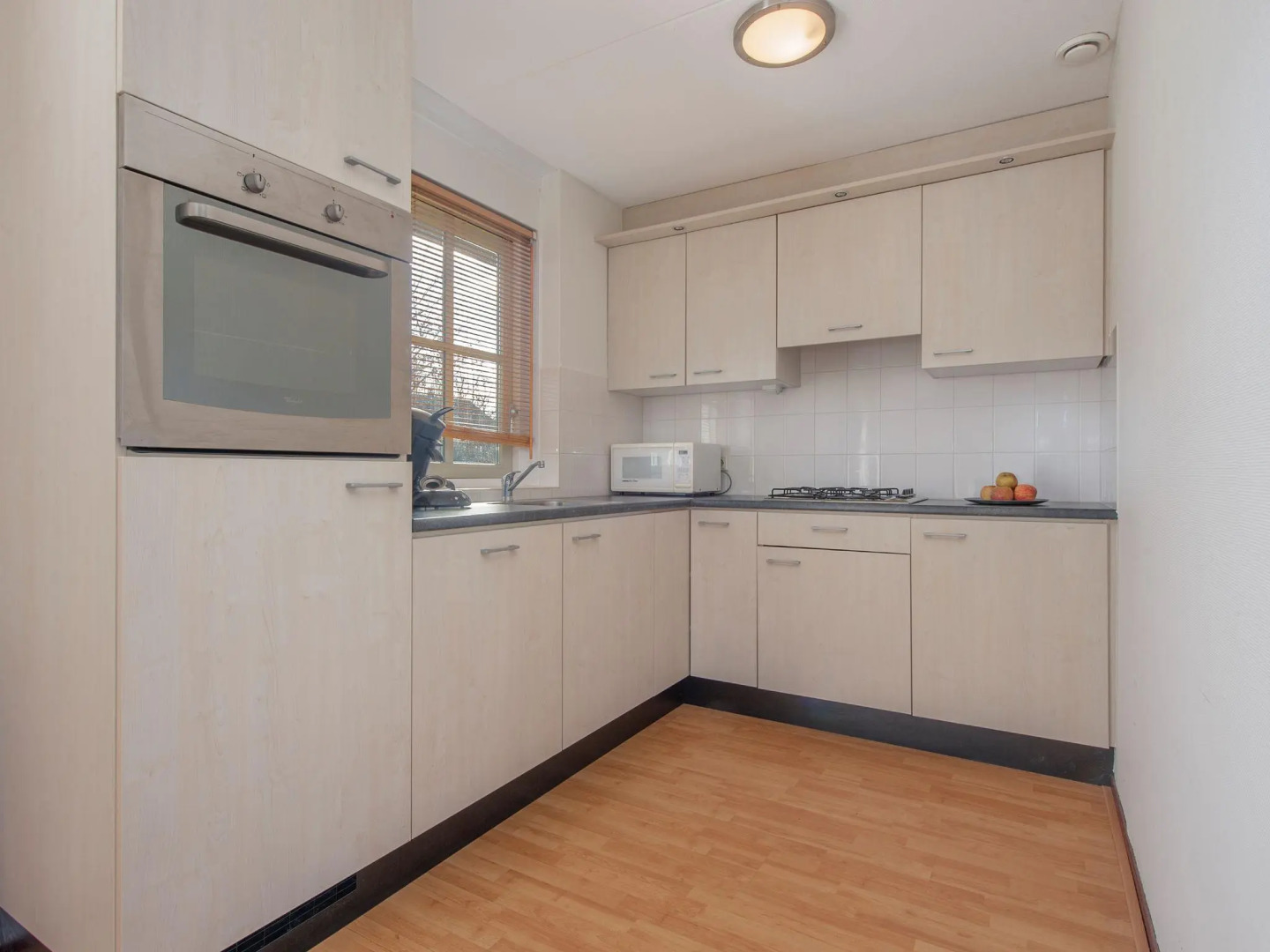 Beautiful holiday home with 2 bathrooms, 2 km from Appelscha