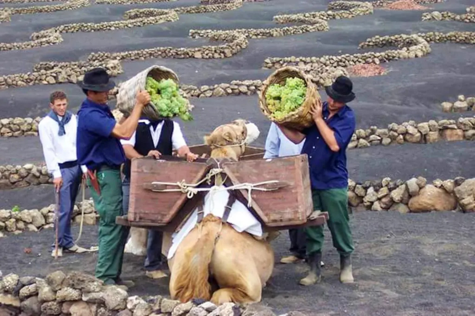 Holiday Home Av. Marítima