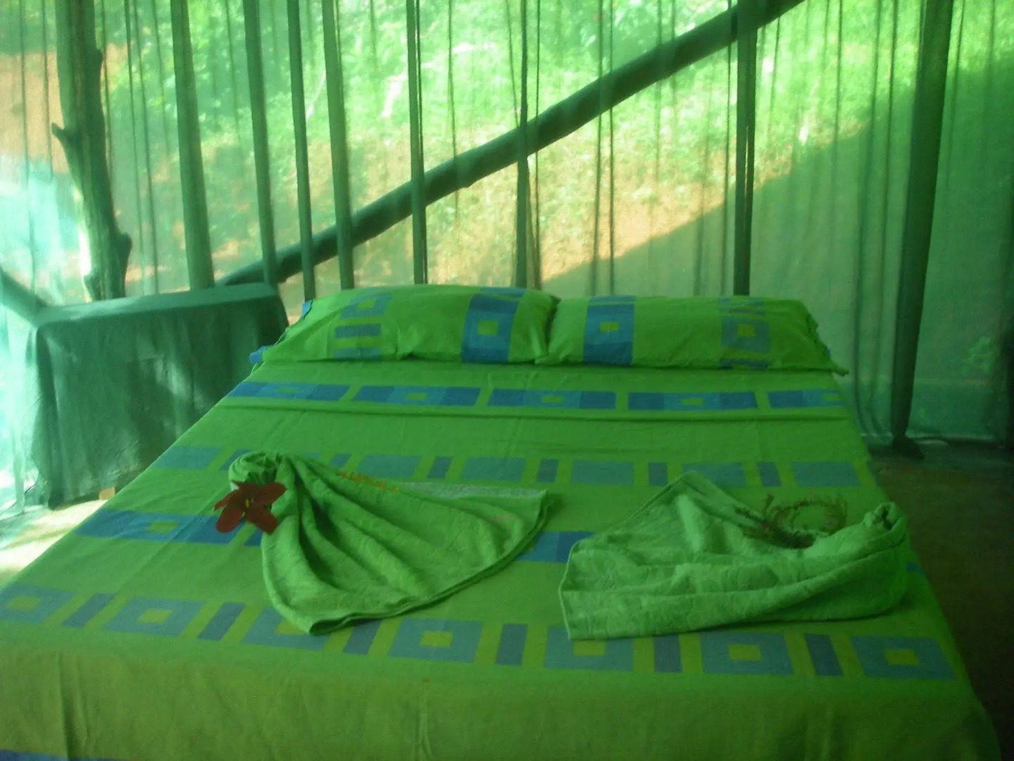 Isla Violin Eco Lodge