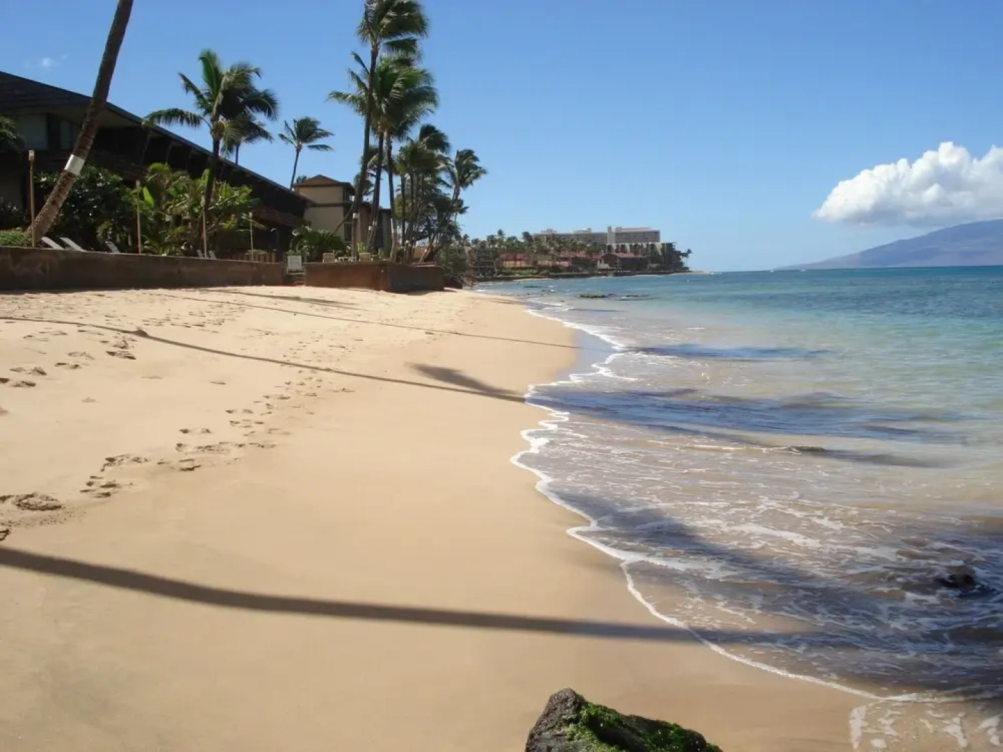 Kaleialoha #114 1 Bedroom 1 Bathroom Condo by Redawning